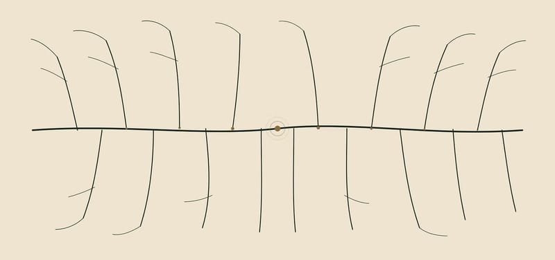 Code Psychology: O que é que os códigos biológicos dizem sobre a mente?